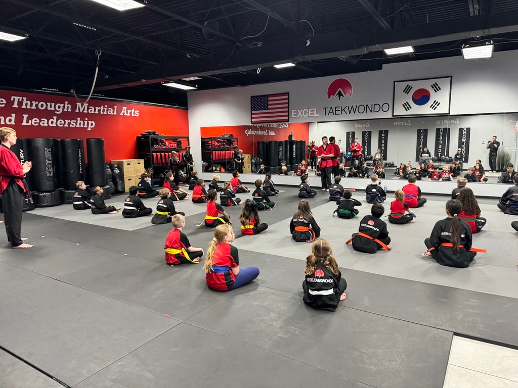 Planning a Martial Arts Birthday Party in Littleton: A Parent's Guide