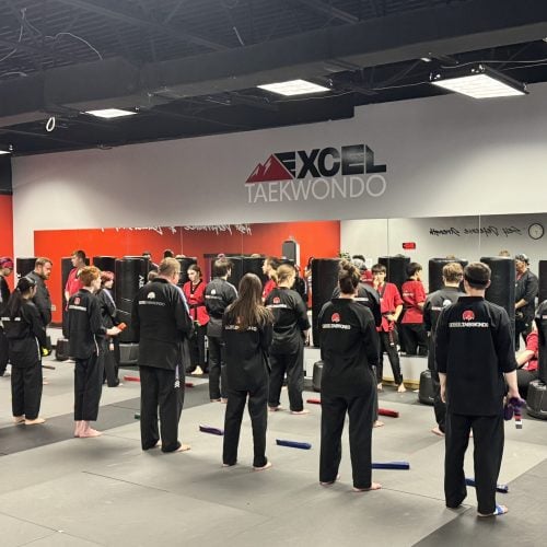 Excel Taekwondo students training in Littleton, Colorado